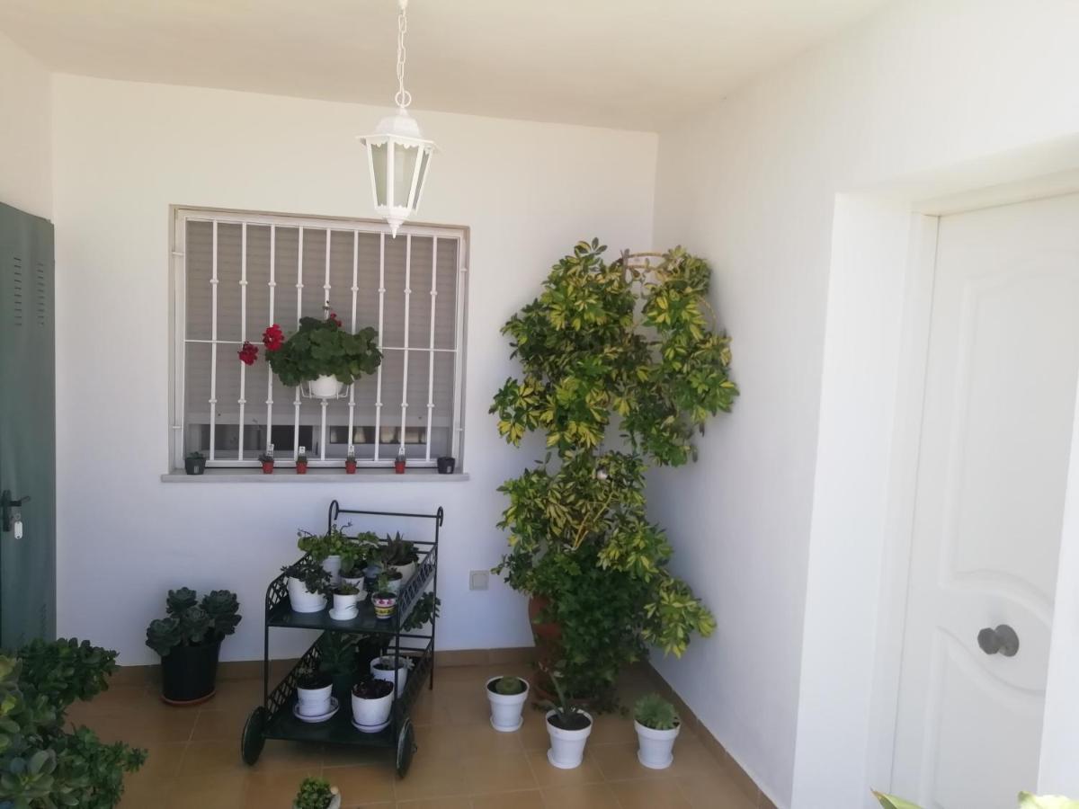 Las Gemelas De Terreros 1 San Juan de los Terreros 외부 사진